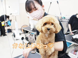 かわいいねって言ってみました☆